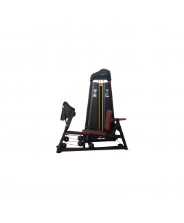 LEG PRESS&CALF MACHINE COMBO